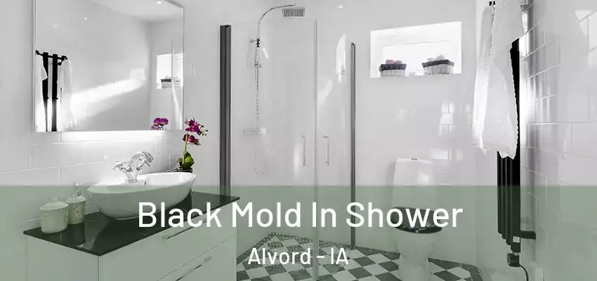 Black Mold In Shower Alvord - IA