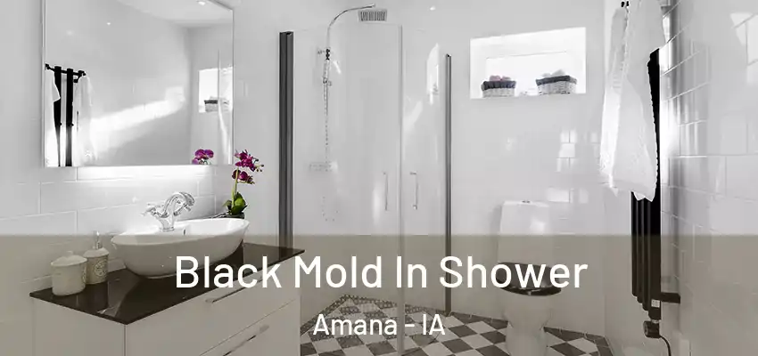 Black Mold In Shower Amana - IA