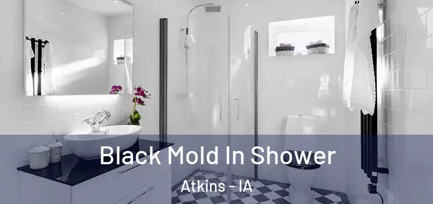 Black Mold In Shower Atkins - IA