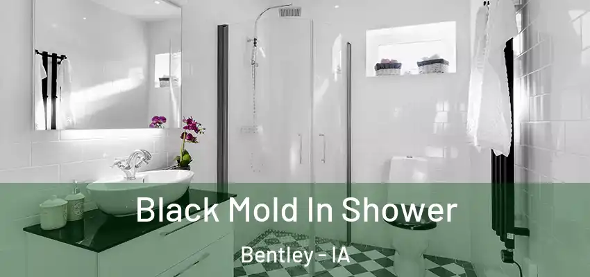  Black Mold In Shower Bentley - IA