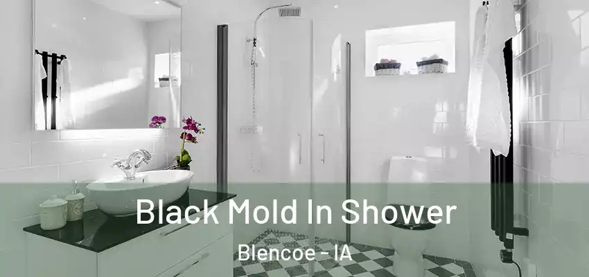 Black Mold In Shower Blencoe - IA