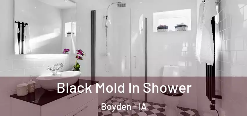  Black Mold In Shower Boyden - IA