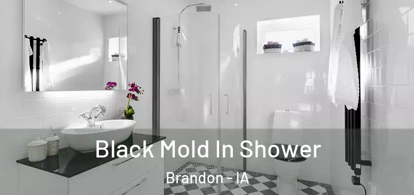 Black Mold In Shower Brandon - IA