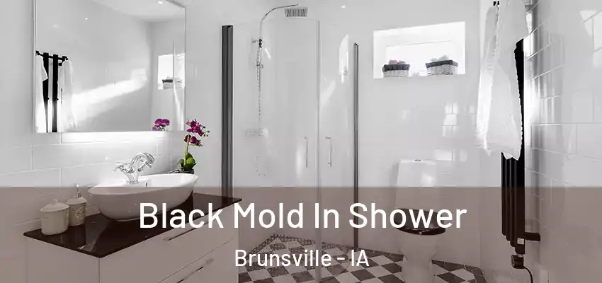  Black Mold In Shower Brunsville - IA