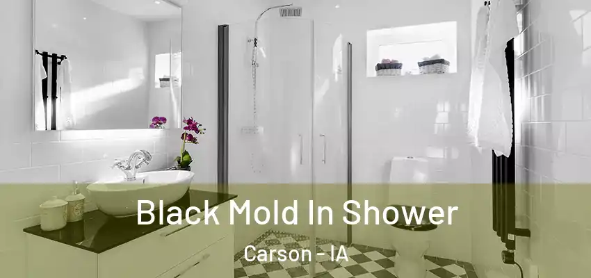  Black Mold In Shower Carson - IA