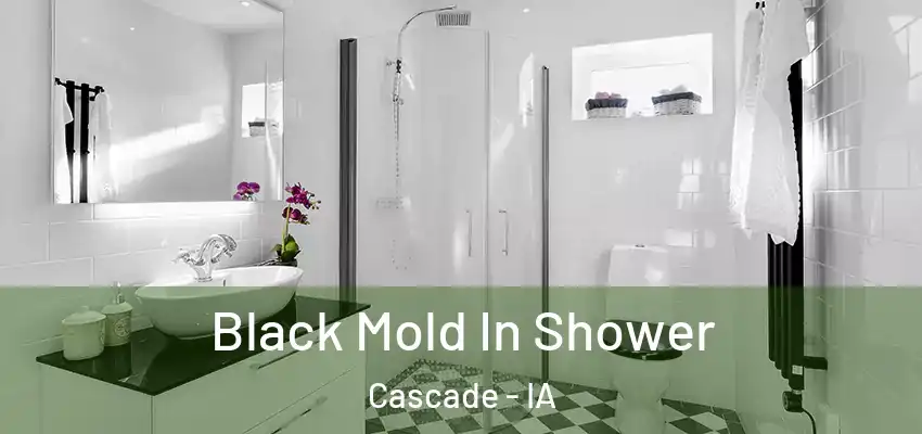 Black Mold In Shower Cascade - IA