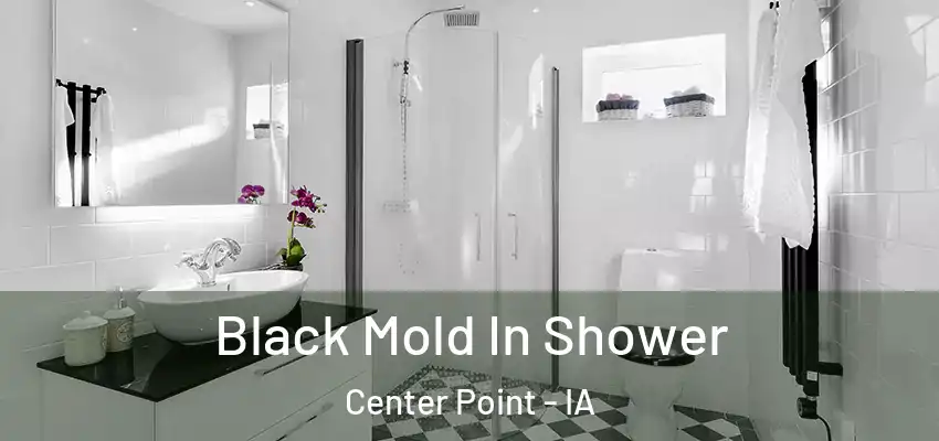 Black Mold In Shower Center Point - IA