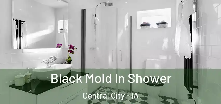 Black Mold In Shower Central City - IA
