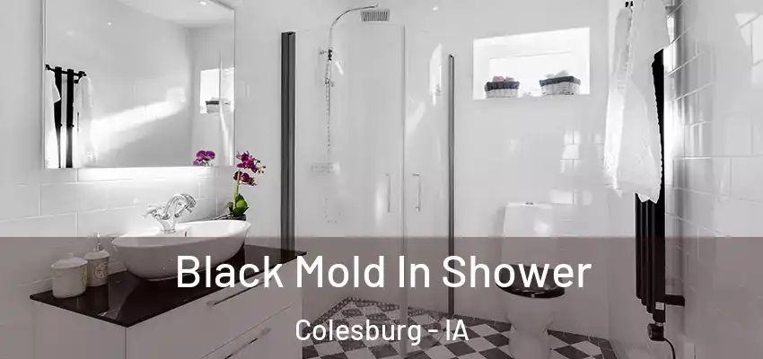  Black Mold In Shower Colesburg - IA