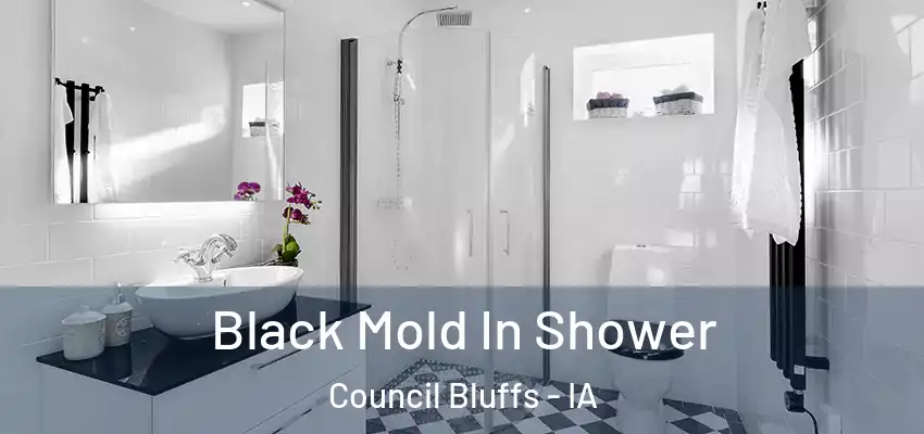 Black Mold In Shower Council Bluffs - IA