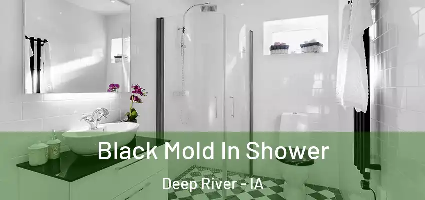 Black Mold In Shower Deep River - IA