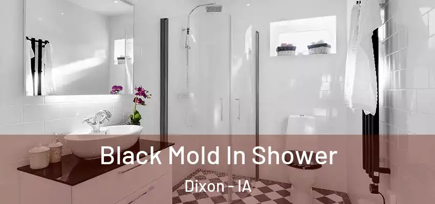 Black Mold In Shower Dixon - IA