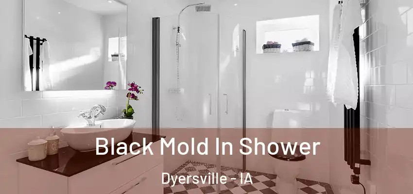 Black Mold In Shower Dyersville - IA