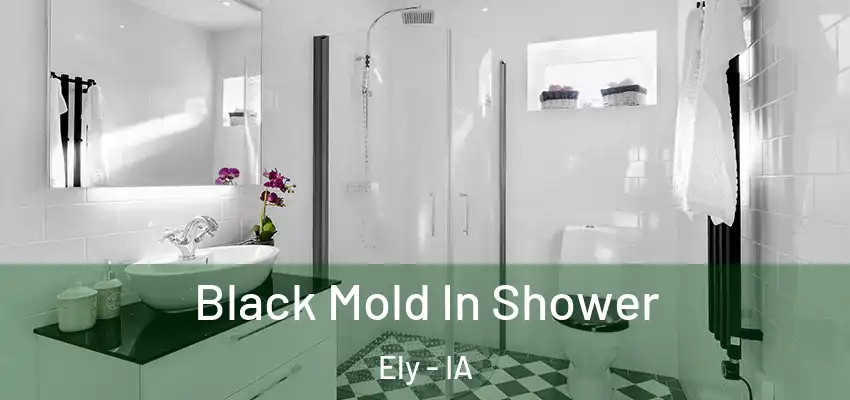  Black Mold In Shower Ely - IA