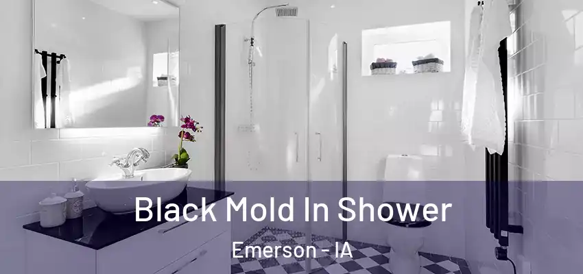  Black Mold In Shower Emerson - IA