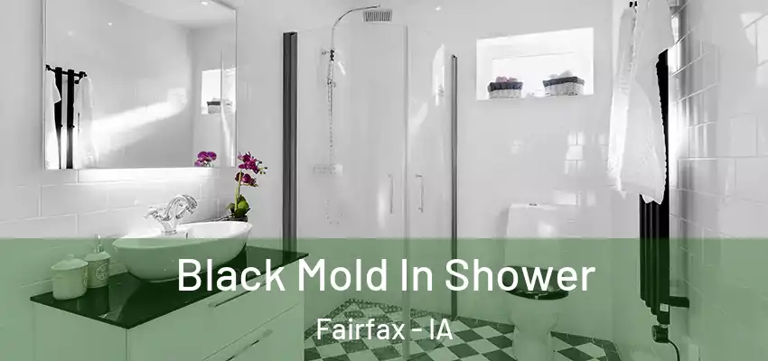 Black Mold In Shower Fairfax - IA