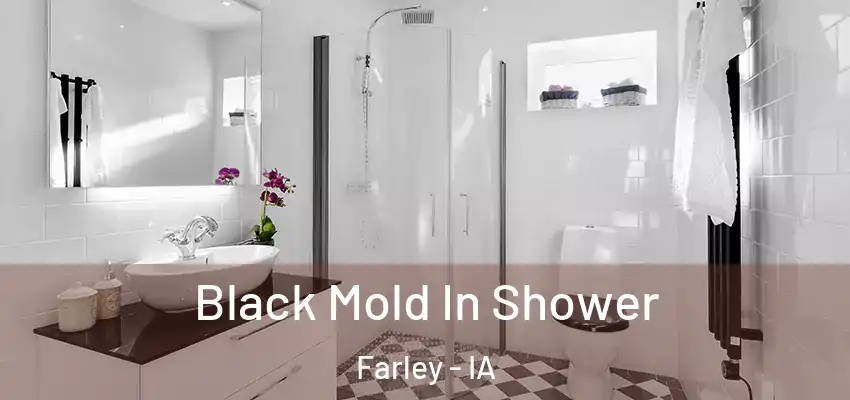  Black Mold In Shower Farley - IA