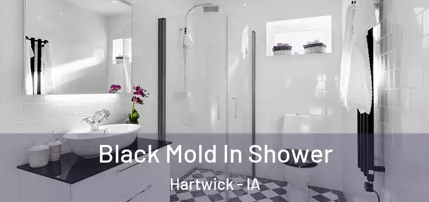  Black Mold In Shower Hartwick - IA