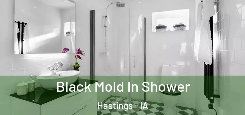  Black Mold In Shower Hastings - IA