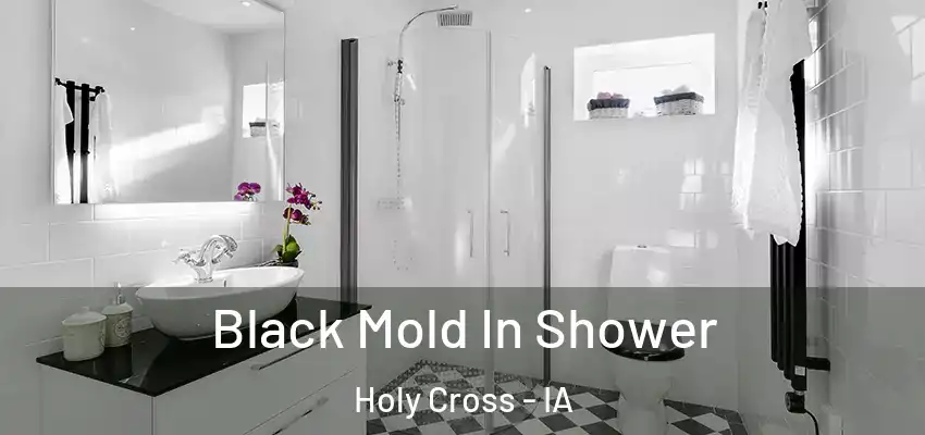 Black Mold In Shower Holy Cross - IA