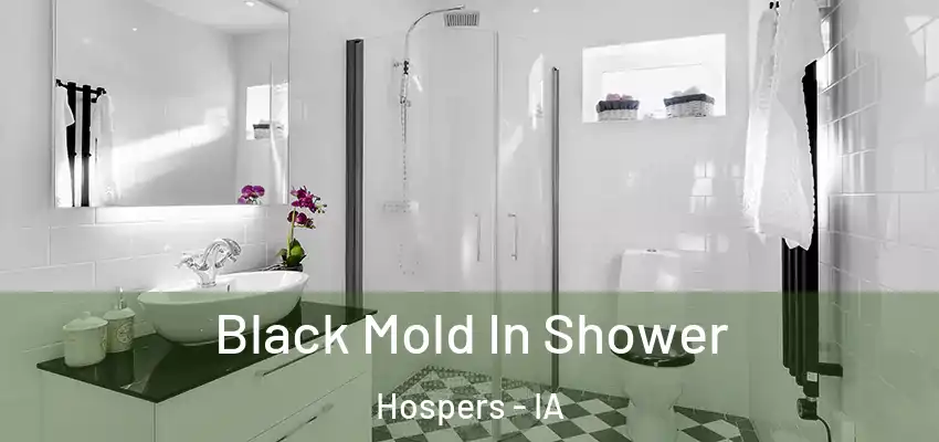 Black Mold In Shower Hospers - IA