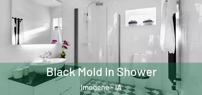 Black Mold In Shower Imogene - IA