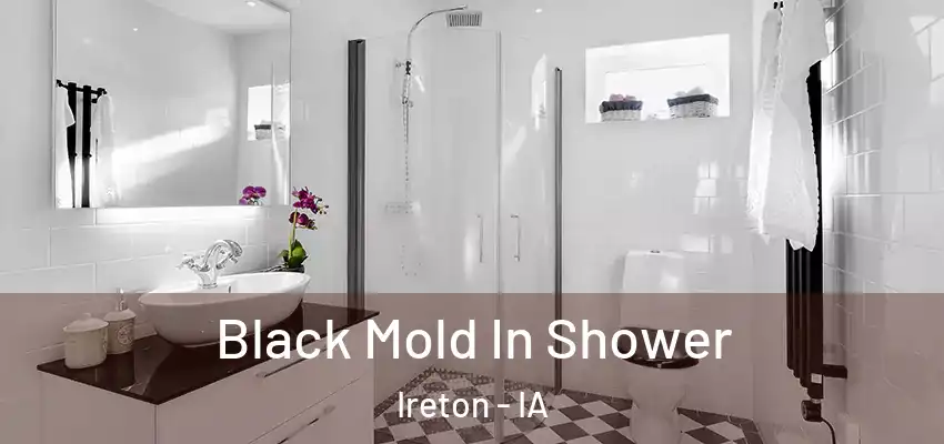 Black Mold In Shower Ireton - IA