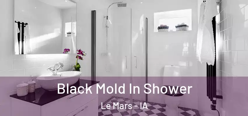  Black Mold In Shower Le Mars - IA