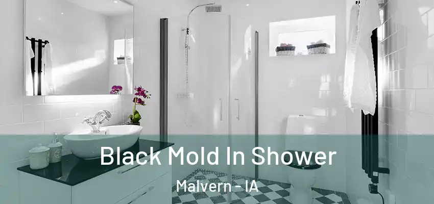  Black Mold In Shower Malvern - IA