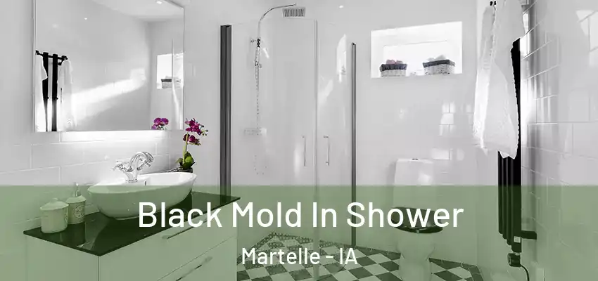 Black Mold In Shower Martelle - IA