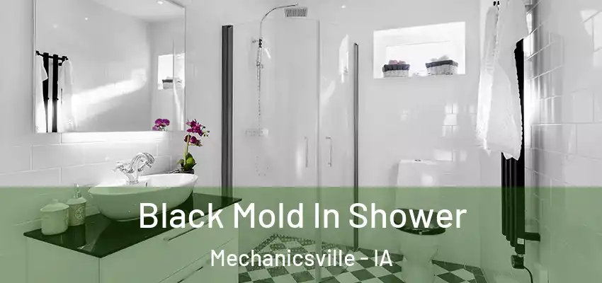 Black Mold In Shower Mechanicsville - IA