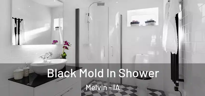  Black Mold In Shower Melvin - IA