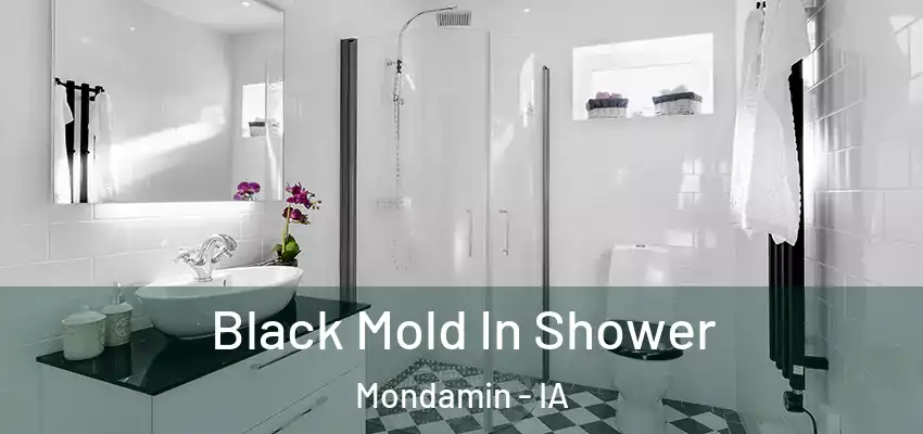  Black Mold In Shower Mondamin - IA