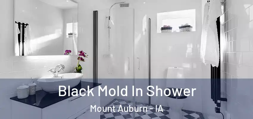  Black Mold In Shower Mount Auburn - IA