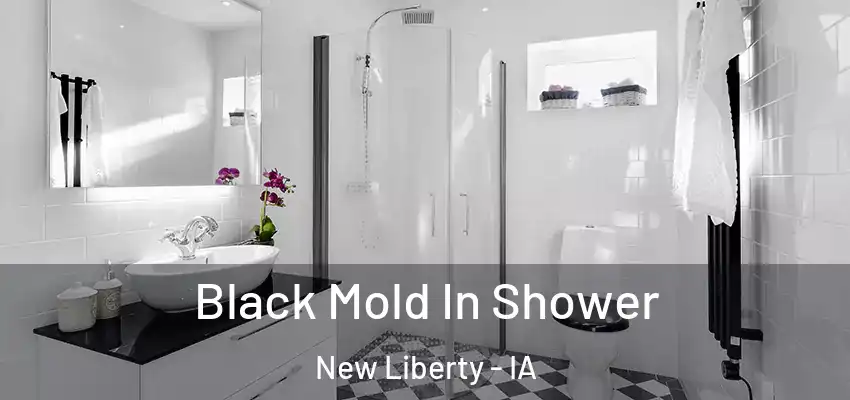  Black Mold In Shower New Liberty - IA