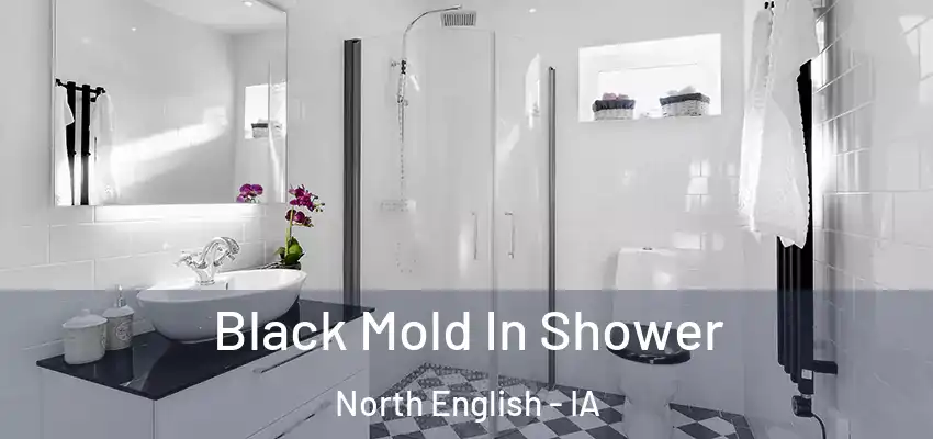  Black Mold In Shower North English - IA