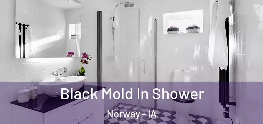 Black Mold In Shower Norway - IA