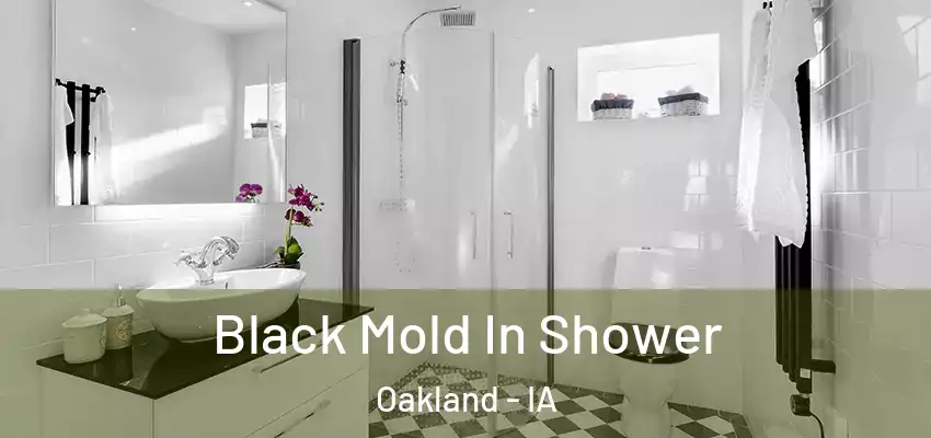 Black Mold In Shower Oakland - IA