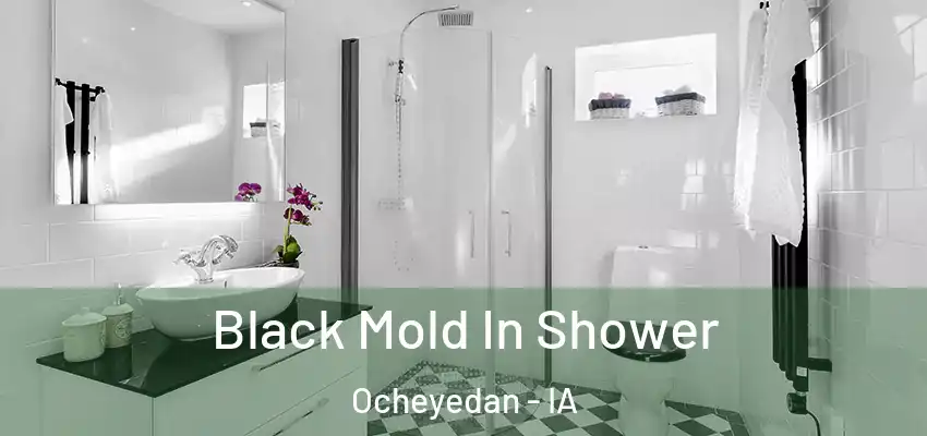  Black Mold In Shower Ocheyedan - IA
