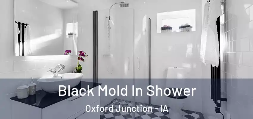 Black Mold In Shower Oxford Junction - IA