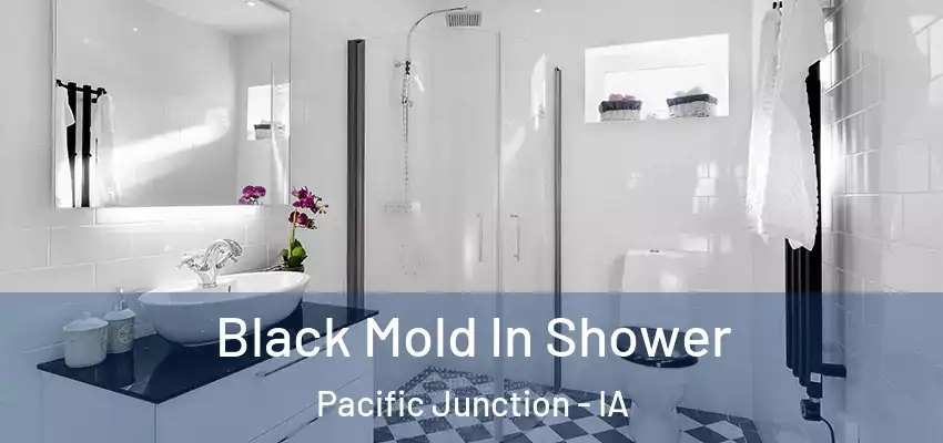  Black Mold In Shower Pacific Junction - IA