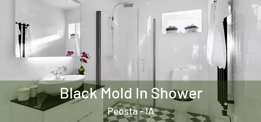 Black Mold In Shower Peosta - IA