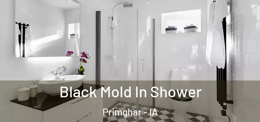  Black Mold In Shower Primghar - IA