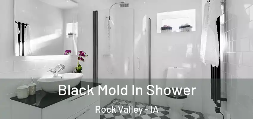  Black Mold In Shower Rock Valley - IA