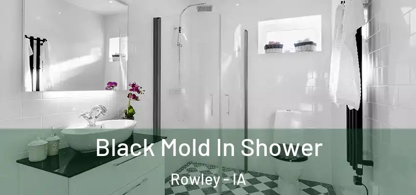  Black Mold In Shower Rowley - IA