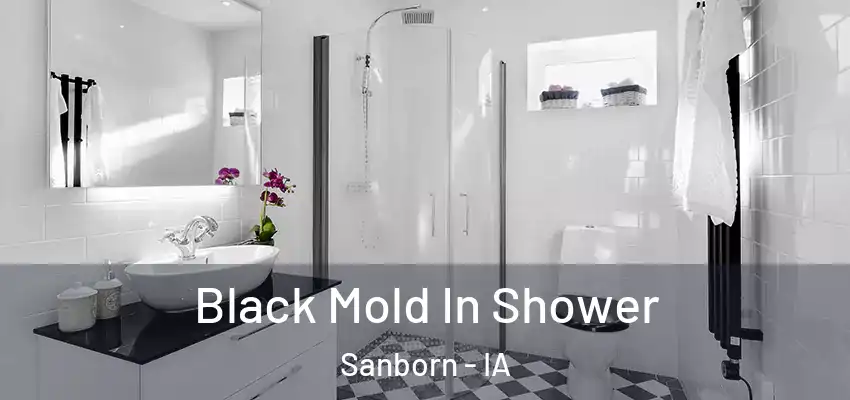  Black Mold In Shower Sanborn - IA