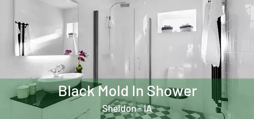  Black Mold In Shower Sheldon - IA
