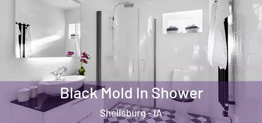 Black Mold In Shower Shellsburg - IA
