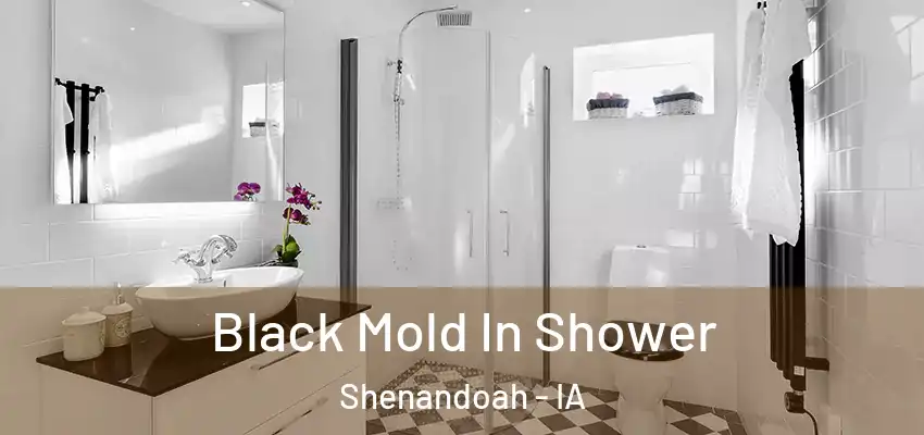  Black Mold In Shower Shenandoah - IA