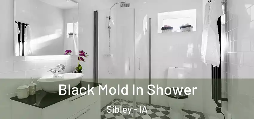 Black Mold In Shower Sibley - IA